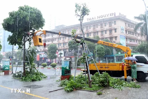 Thời tiết đêm 8/9: Hầu hết cả nước có mưa dông, kèm lốc sét, gió giật mạnh