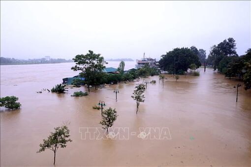 Lũ trên sông Lô (Tuyên Quang) vượt mức báo động 3