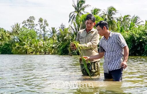 Cà Mau: Chủ động ứng phó, khắc phục kịp thời