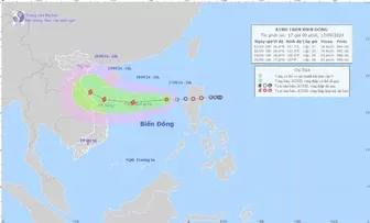 Chủ động ứng phó áp thấp nhiệt đới có khả năng mạnh lên thành bão