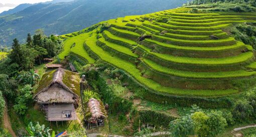 ‘Mùa vàng’ trên ruộng bậc thang ở Hà Giang, Yên Bái sau bão lũ