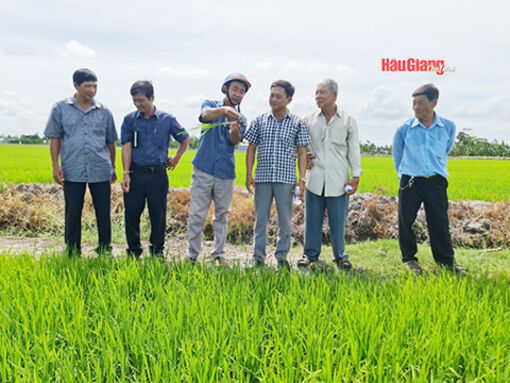 Hậu Giang: Kinh tế tăng trưởng tích cực