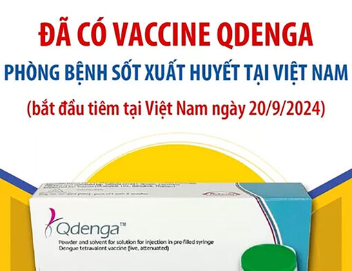 Đã có vaccine Qdenga phòng bệnh sốt xuất huyết tại Việt Nam