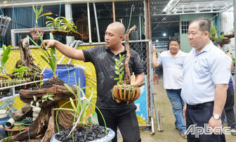 Tiền Giang: Khởi nghiệp từ mô hình trồng hoa phong lan