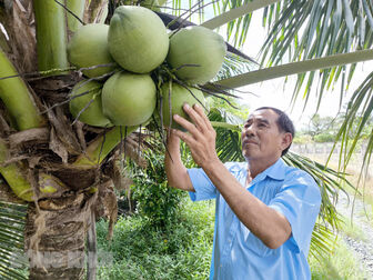 Bến Tre: Tập trung cơ cấu lại nền kinh tế