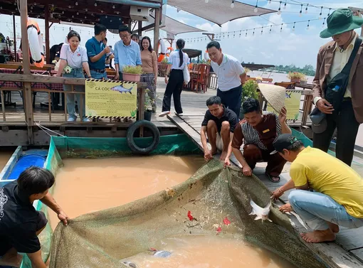 Hậu Giang: Hòa mình vào thiên nhiên tại Khu du lịch Mùa Xuân