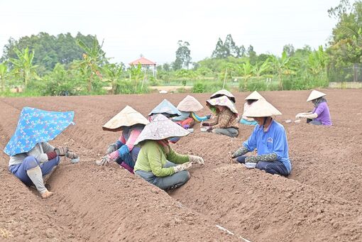 Nông dân huyện Châu Thành thi đua sản xuất - kinh doanh giỏi