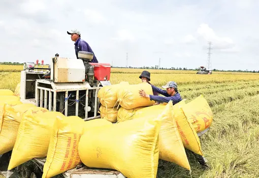 Gia tăng giá trị con tôm