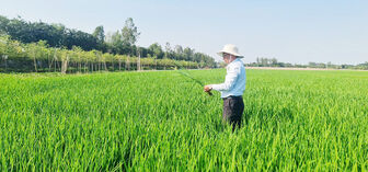 An Phú tập trung giải pháp thực hiện thắng lợi nhiệm vụ kinh tế - xã hội