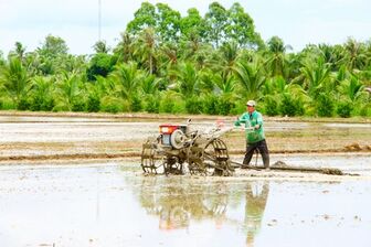 Đất lúa dần “đói” dinh dưỡng