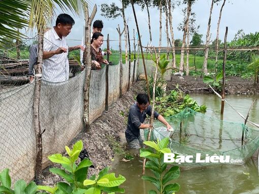 Bạc Liêu: Không có hộ nghèo, cận nghèo là người có công