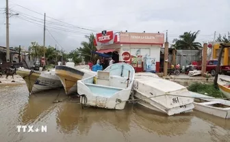 Mỹ: Bão Milton di chuyển phức tạp, áp sát bang Florida