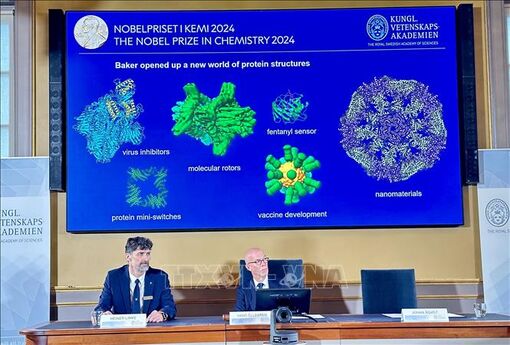 Nobel 2024: Các protein nhân tạo - Chìa khóa cho tương lai