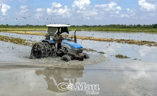 Động lực mới cho tăng trưởng và hình thành công dân số