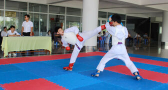 100 võ sinh bộ môn Karate tham gia kỳ thi thăng cấp đai