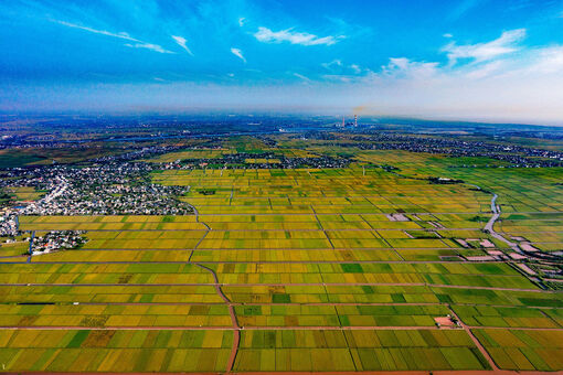 Mùa vàng ấn tượng ở nơi 'không có núi chỉ có sông', cách Hà Nội hơn 100km