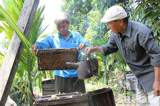 Thú vị nghề lấy mật ong