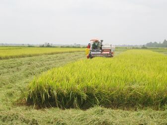 Lan tỏa phong trào nông dân thi đua sản xuất - kinh doanh giỏi