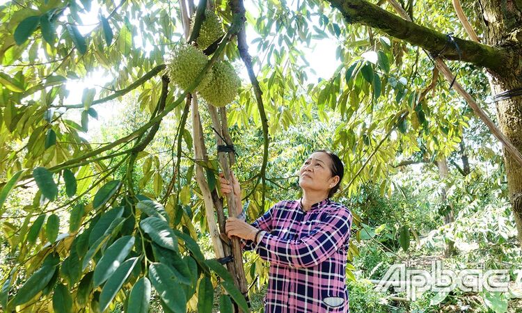 Tín dụng chính sách góp phần giảm nghèo bền vững