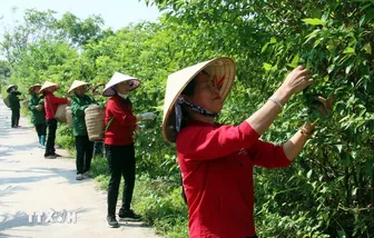 Những chính sách kinh tế nào sẽ có hiệu lực từ tháng 11 sắp tới?