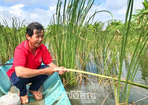 Cà Mau: Xã Trần Phán nỗ lực xây dựng gia đình văn hoá