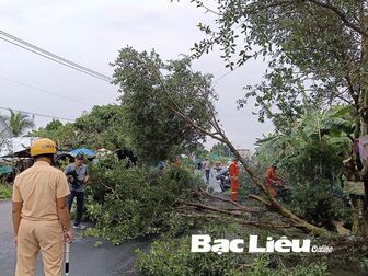 Bạc Liêu: Giải tỏa vi phạm hành lang an toàn tuyến Quản Lộ - Phụng Hiệp