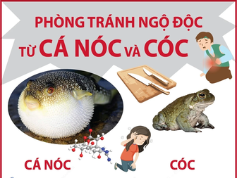 Tuyệt đối không sử dụng cá nóc và thịt cóc làm thực phẩm