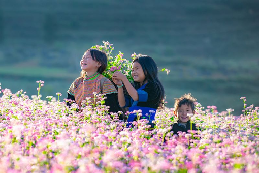 Khám phá du lịch Hà Giang độc đáo và trọn vẹn cùng Meditours