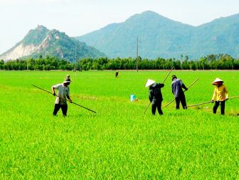 Canh tác nông nghiệp thích ứng biến đổi khí hậu