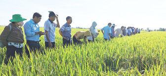 Khuyến khích nông dân Phú Tân tham gia Đề án 1 triệu héc-ta