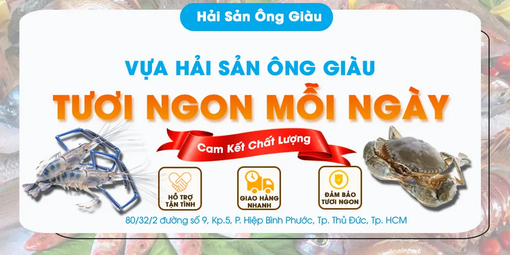 Hải sản Ông Giàu - Nguồn hải sản tươi sống giao tận nhà cực uy tín