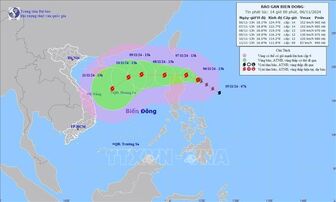 Các tỉnh, thành phố từ Quảng Ninh đến Bình Thuận chủ động ứng phó bão YINXING