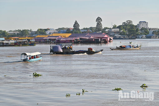 Nhịp sống trên sông