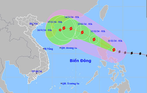 Thời tiết ngày 11/11: Trung Trung Bộ mưa to, bão số 7 suy yếu thành áp thấp nhiệt đới