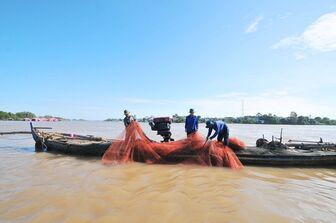 Khai thác cá nhộn nhịp trên sông