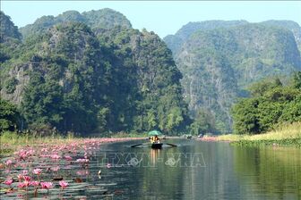 Nao lòng vẻ đẹp mùa hoa súng ở Ninh Bình