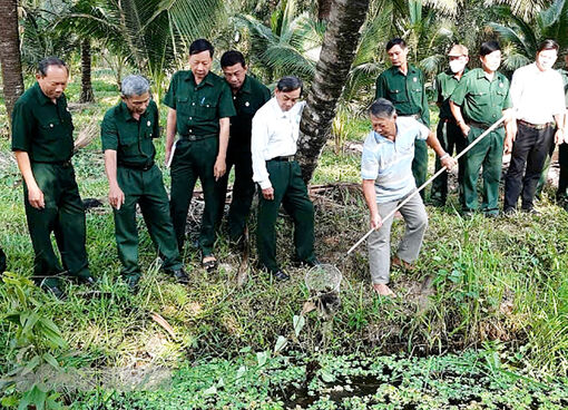 Bến Tre: Hội Cựu chiến binh các cấp đoàn kết, gương mẫu đi đầu trong các phong trào thi đua