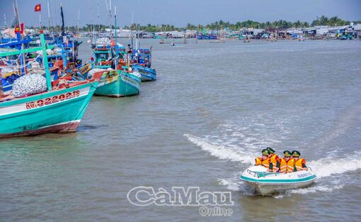 Bộ đội biên phòng Cà Mau: Tăng cường tuần tra, kiểm soát, đảm bảo an toàn cho sự kiện 70 năm tập kết ra Bắc