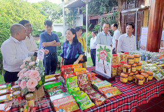 Bến Tre: Mục tiêu và định hướng phát triển ngành dừa của tỉnh