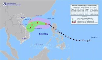 Chủ động ứng phó với bão số 9