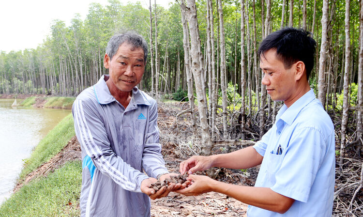 Trà Vinh: Hiệu quả qua mô hình rừng - thủy sản kết hợp