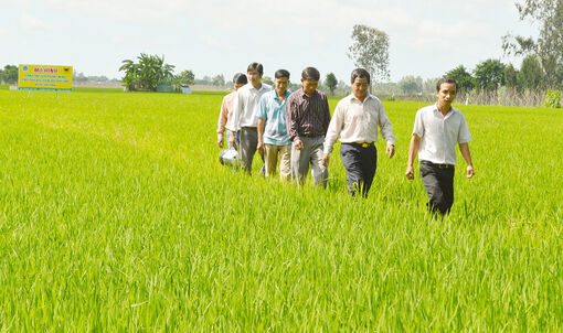 Nâng cao mức tăng trưởng ngành trồng trọt