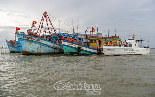 "Lá chắn" trong hành trình gỡ "thẻ vàng"