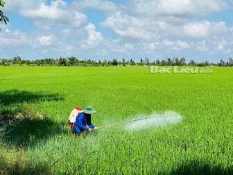 Bảo vệ môi trường trong sản xuất nông nghiệp: Giải pháp cần ưu tiên hàng đầu