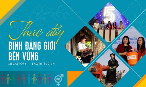 Thúc đẩy bình đẳng giới bền vững