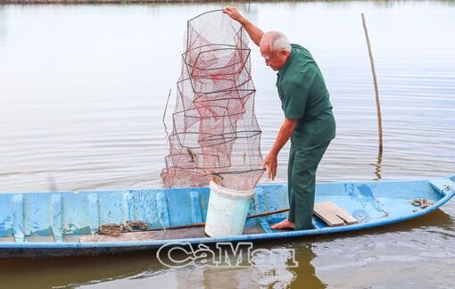 Cà Mau: Quyết tâm sẽ thành công