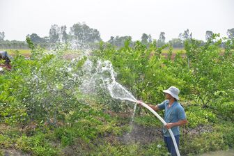 Vĩnh Lợi nỗ lực xây dựng nông thôn mới