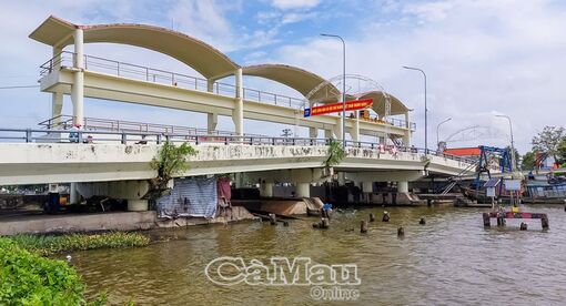 Cà Mau: Ứng phó hạn, mặn từ sớm