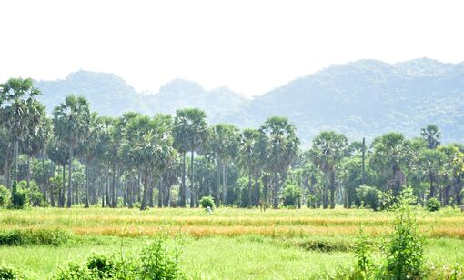 Bảy Núi chuyển mùa