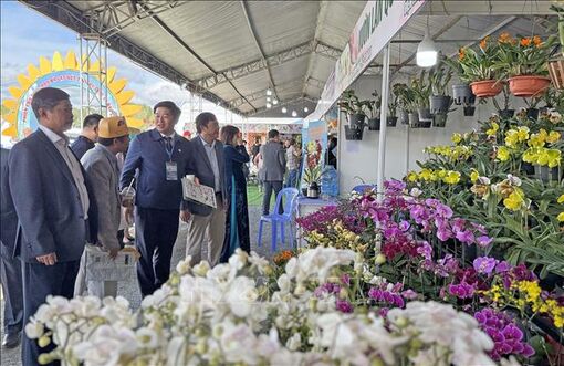 20.000 lượt khách chiêm ngưỡng vườn hoa Đà Lạt dịp Festival